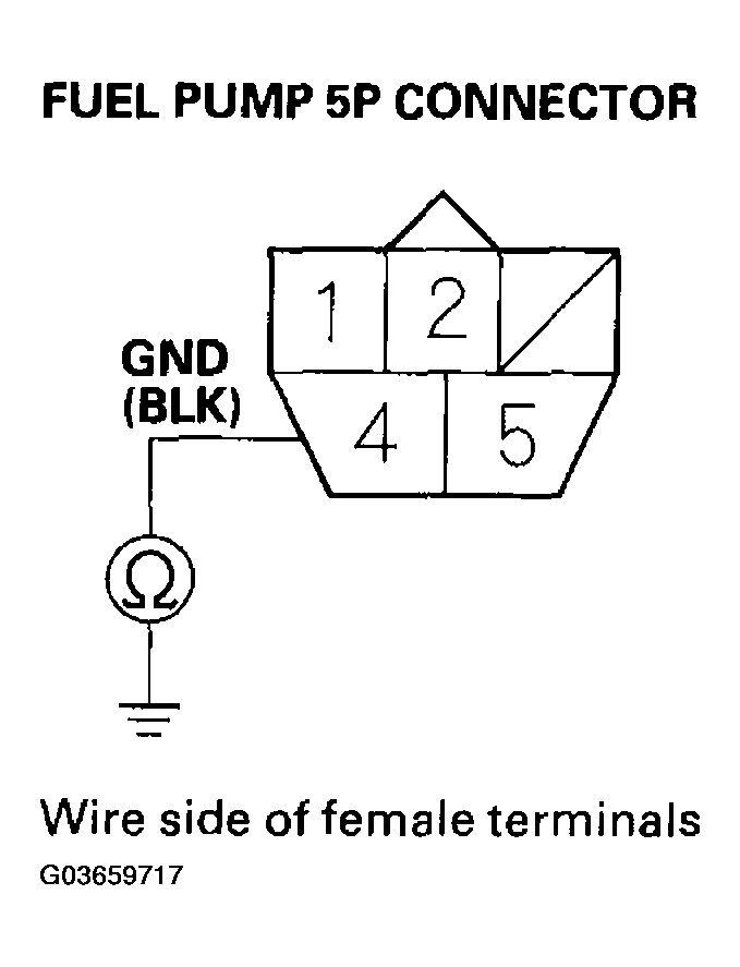 G03659717