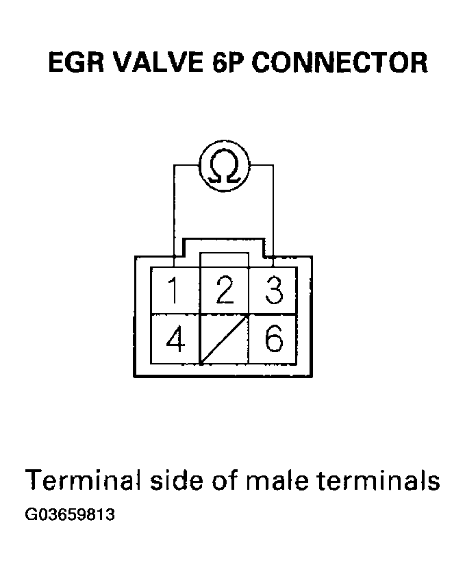 G03659813