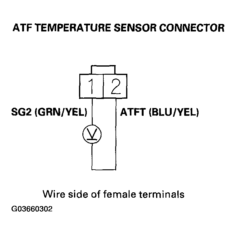 G03660302