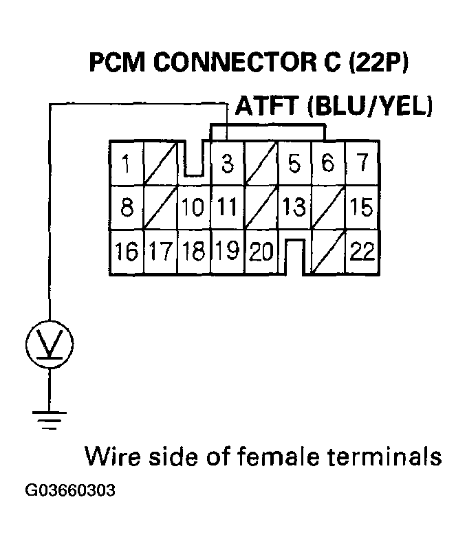 G03660303
