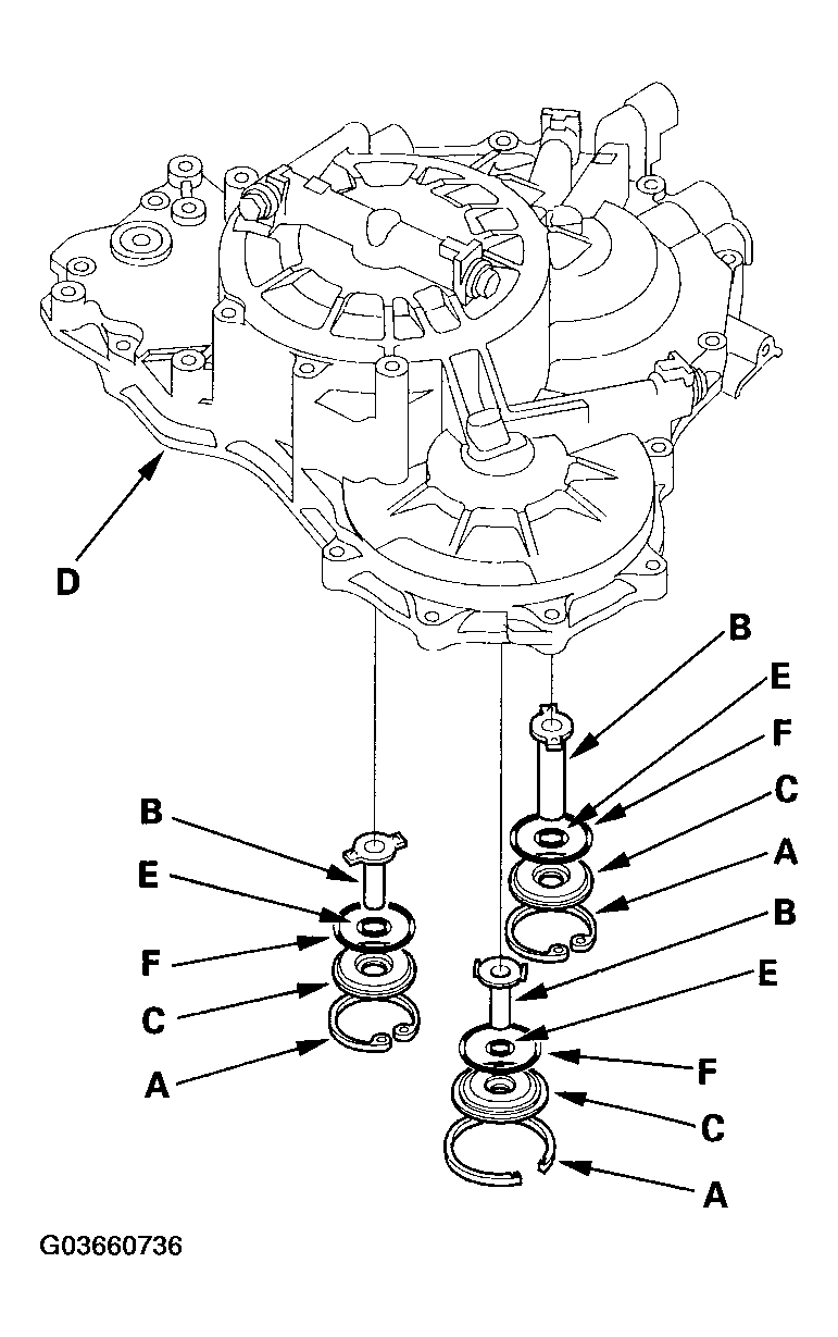 G03660736