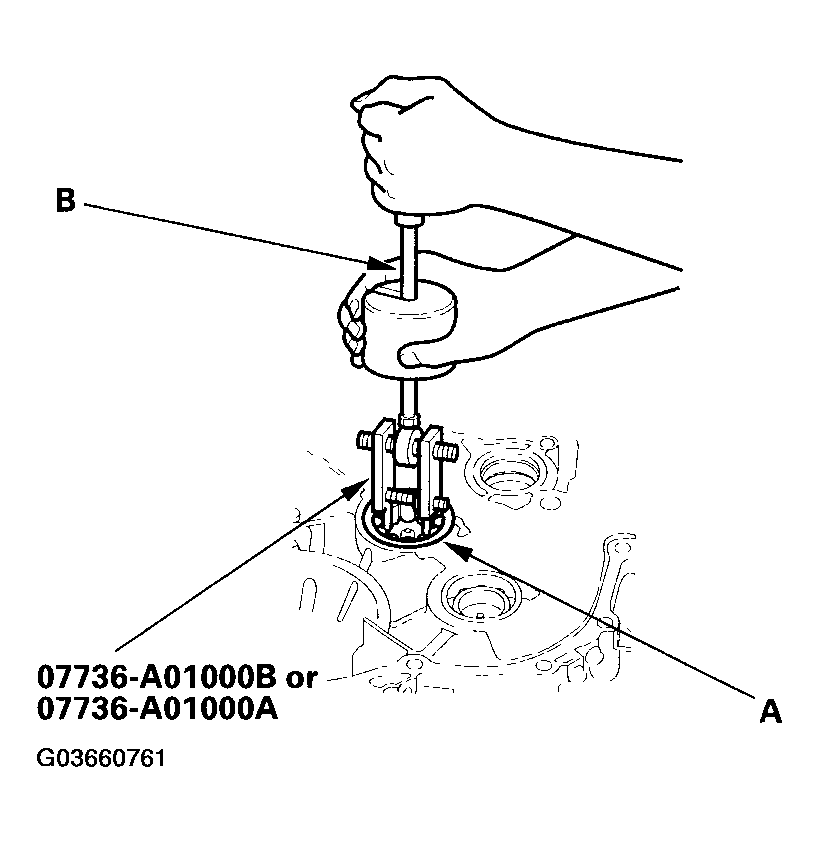 G03660761