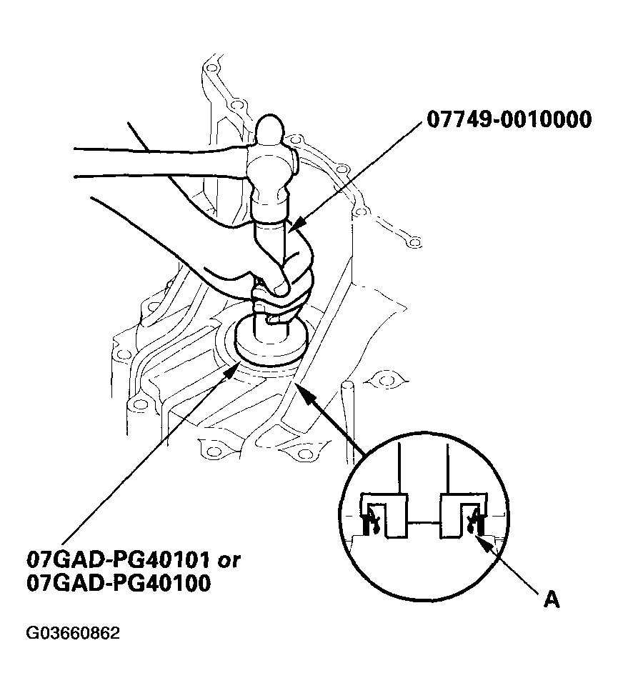 G03660862