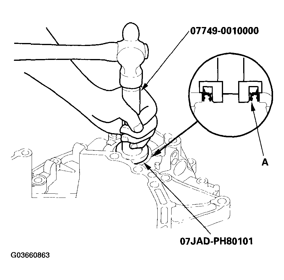 G03660863