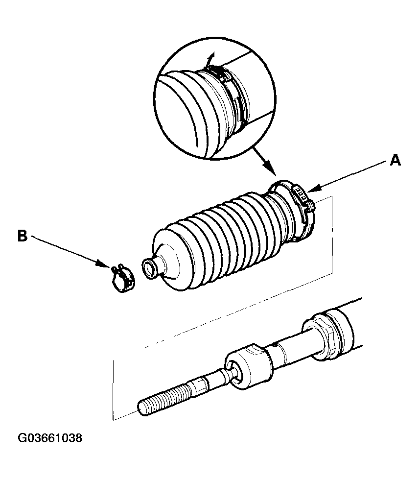 G03661038