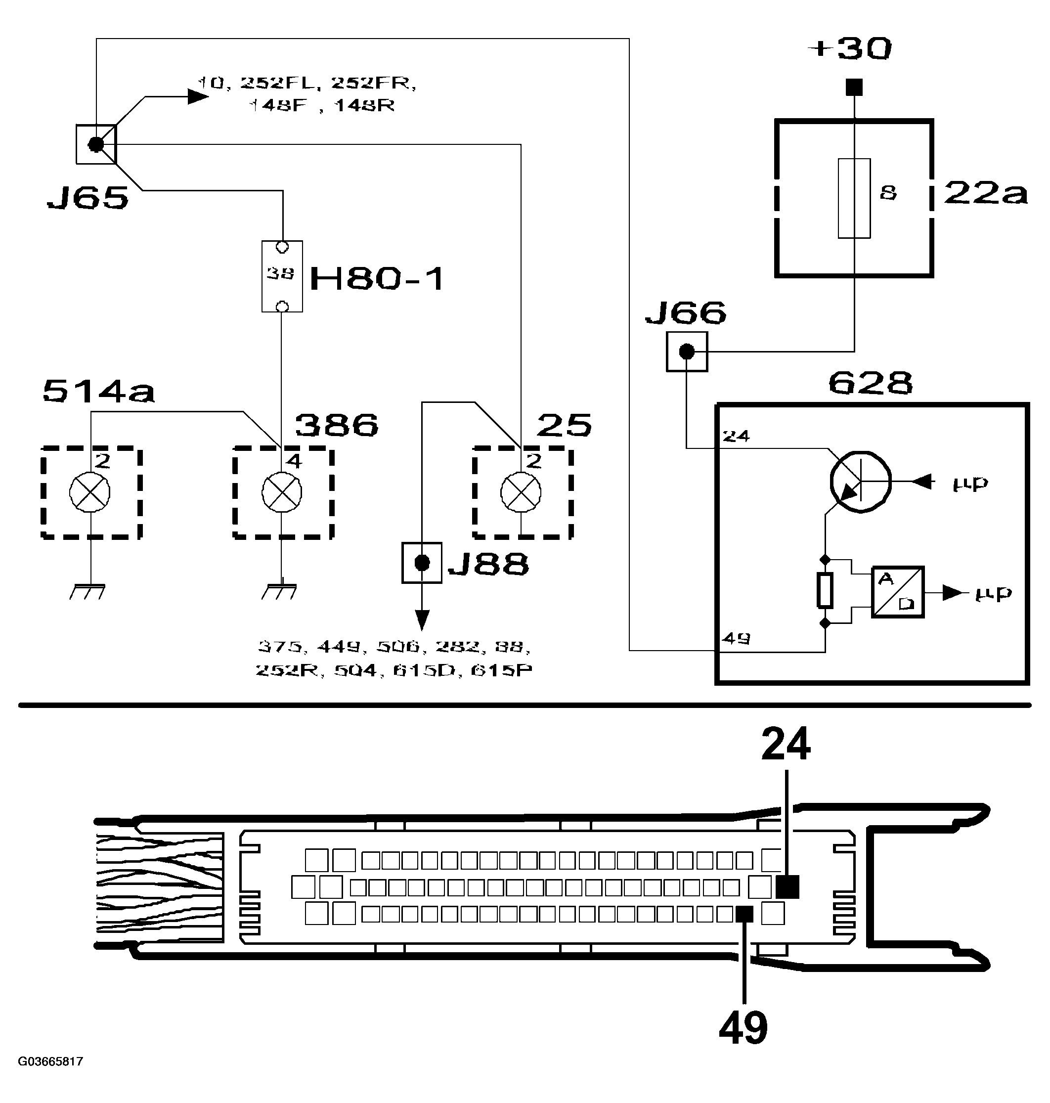 G03665817