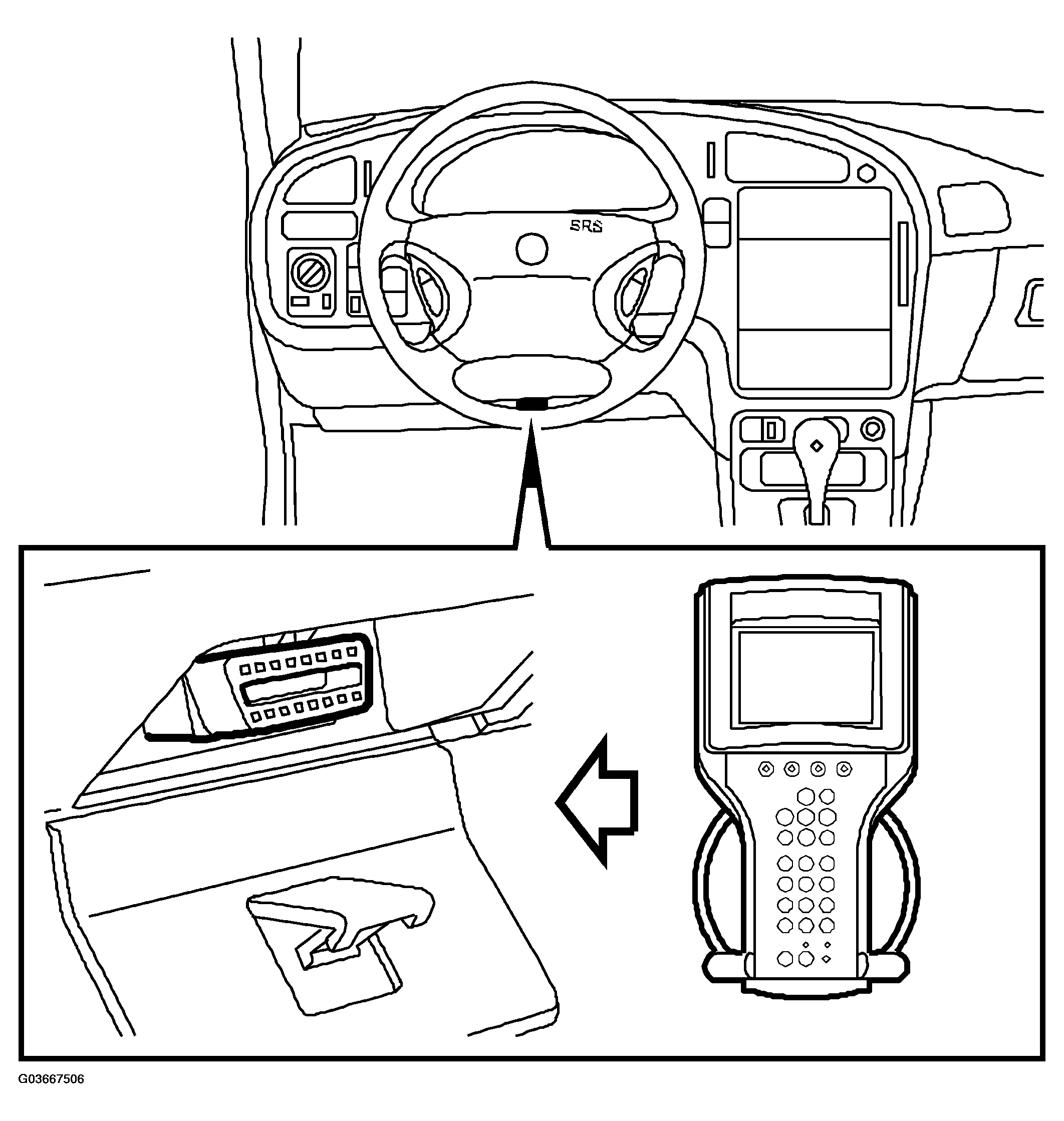 G03667506