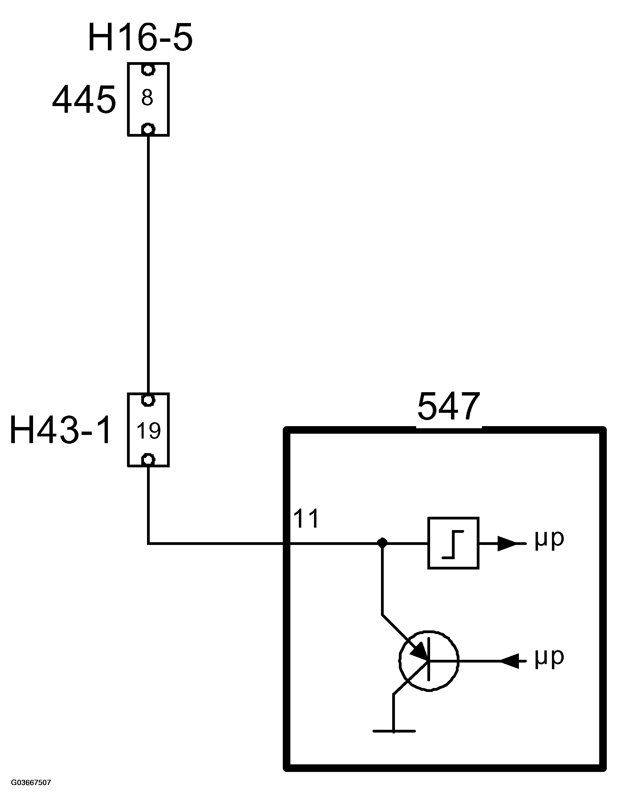 G03667507