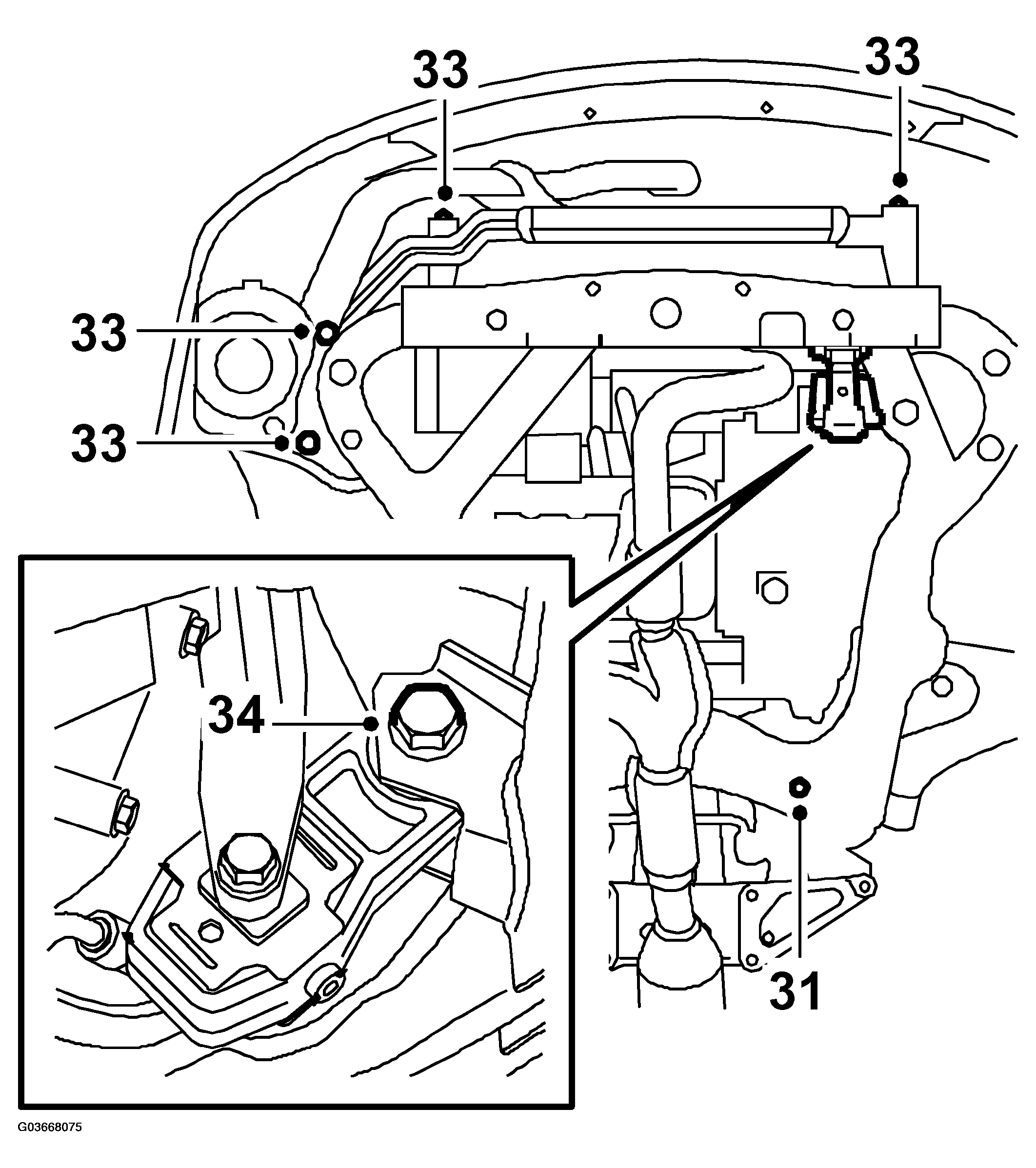 G03668075