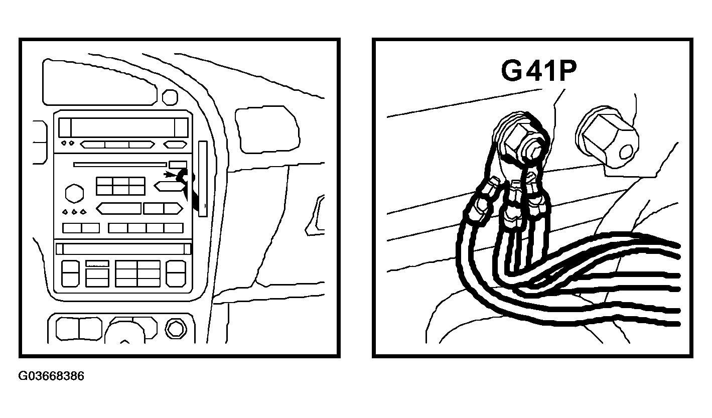 G03668386