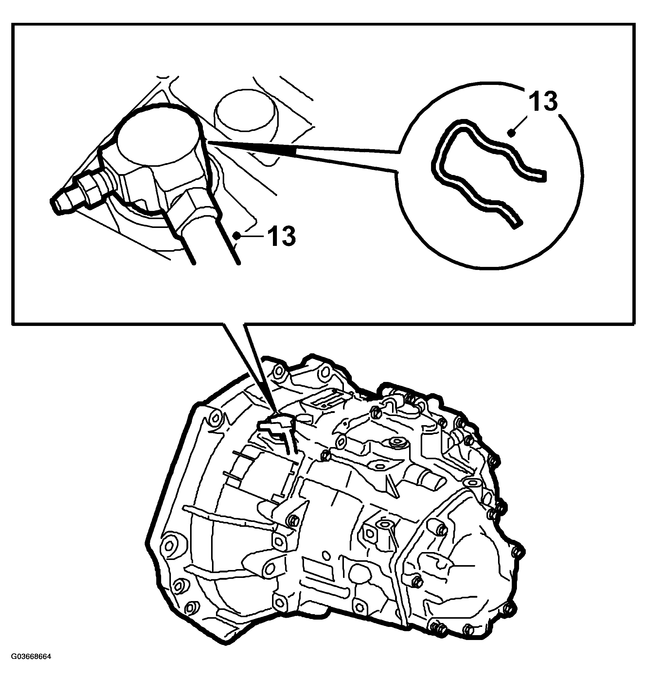G03668664