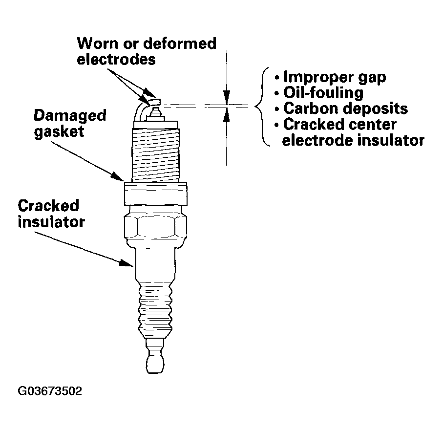 G03673502