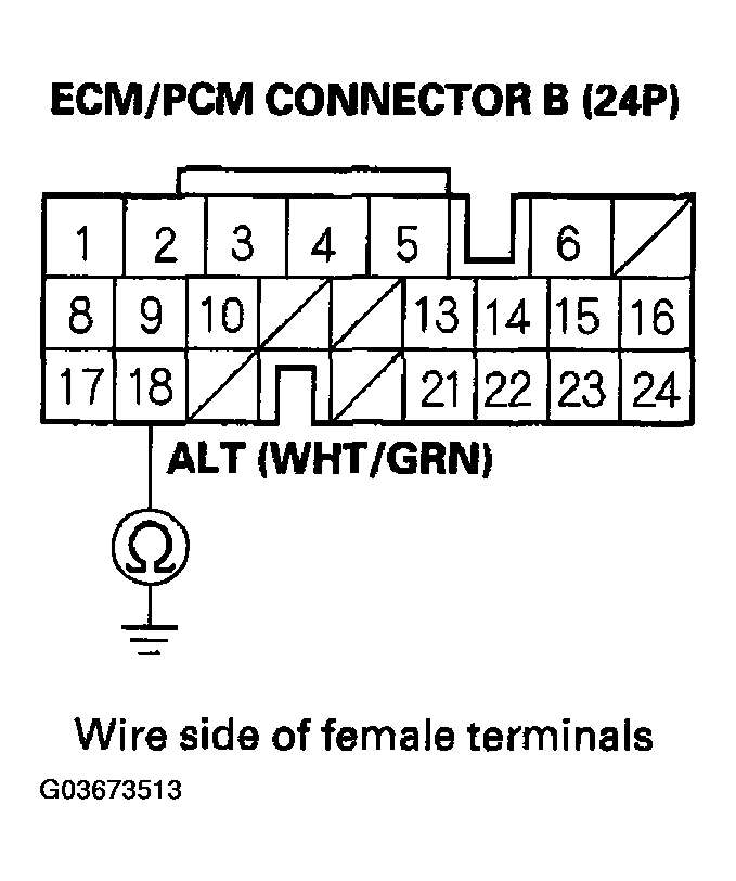 G03673513