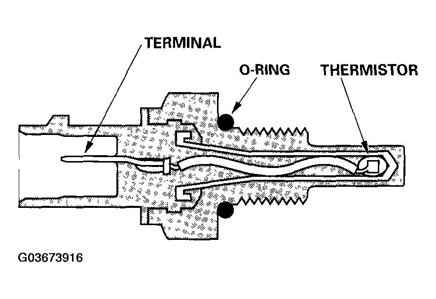 G03673916