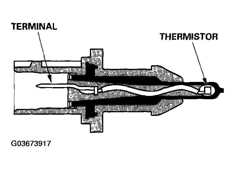 G03673917
