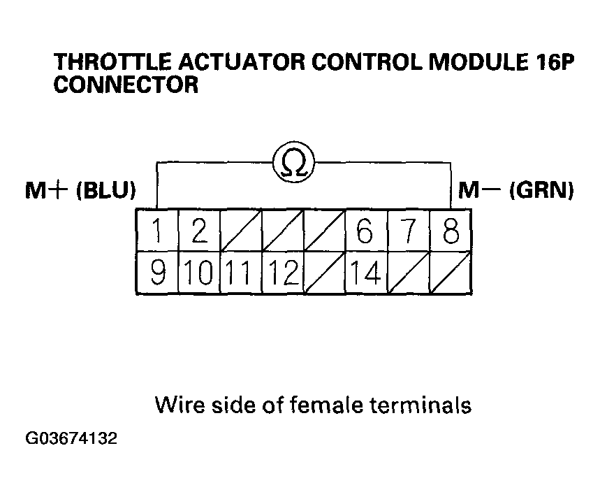 G03674132