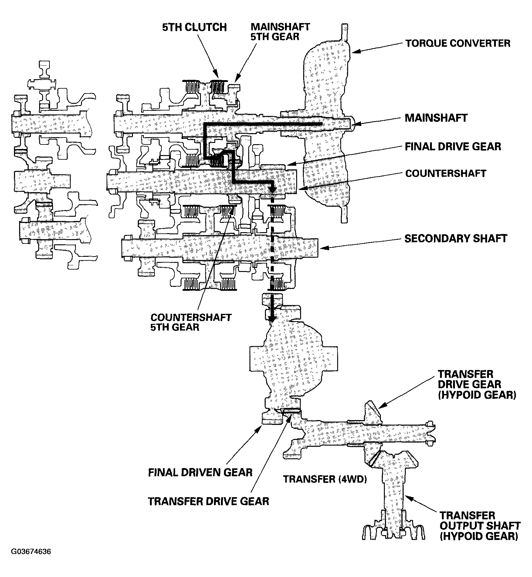 G03674636