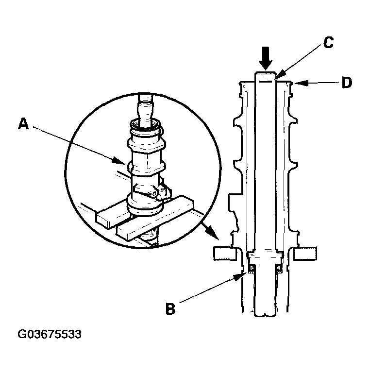 G03675533