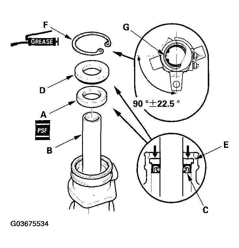 G03675534