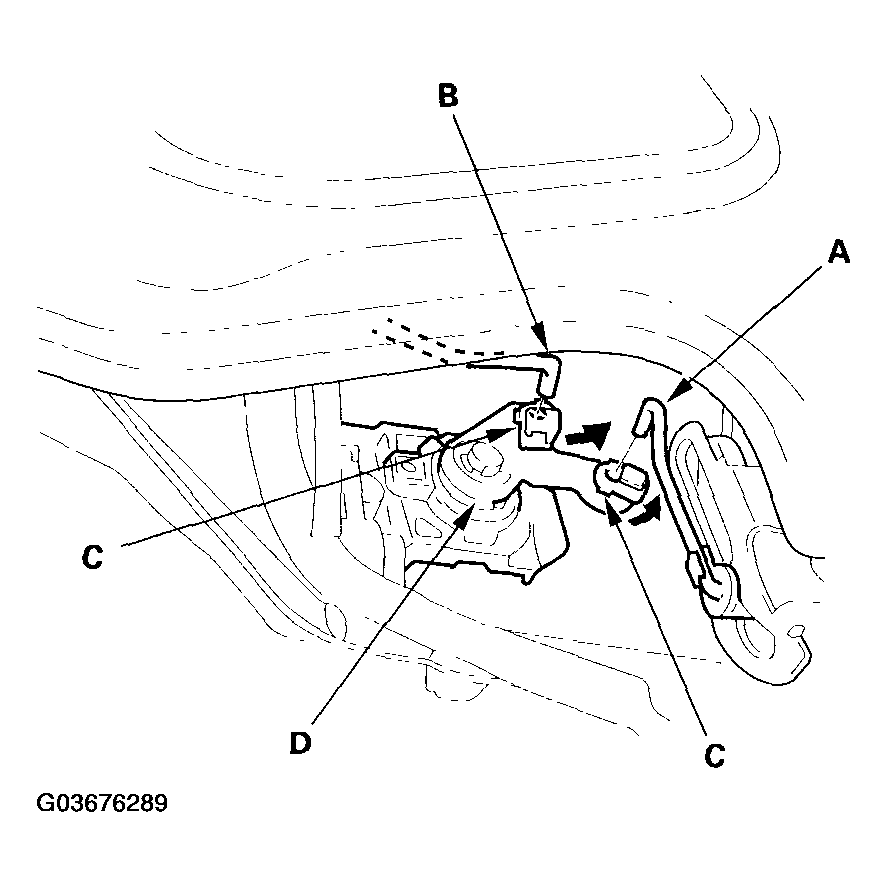 G03676289