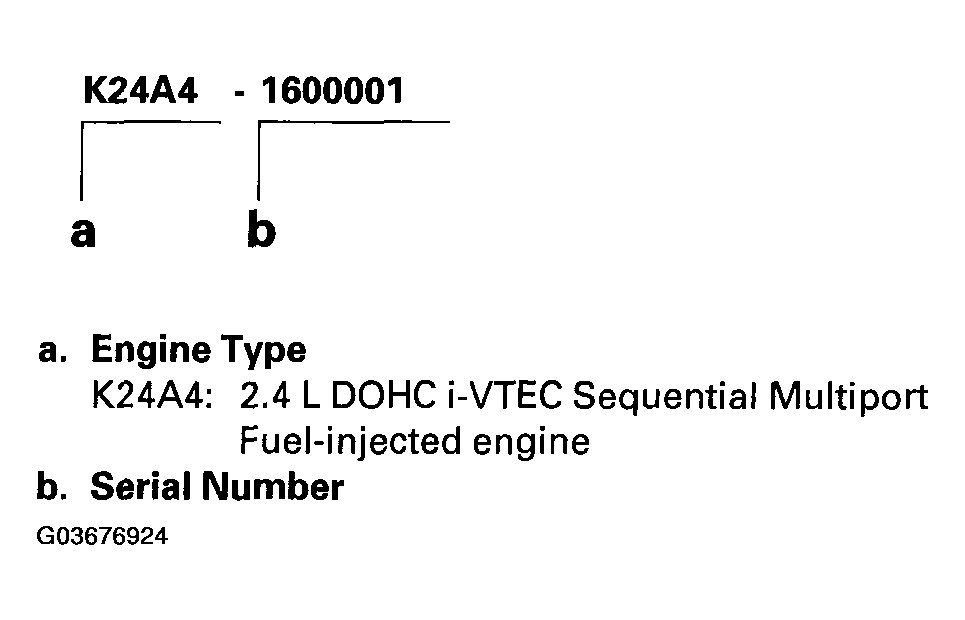 G03676924
