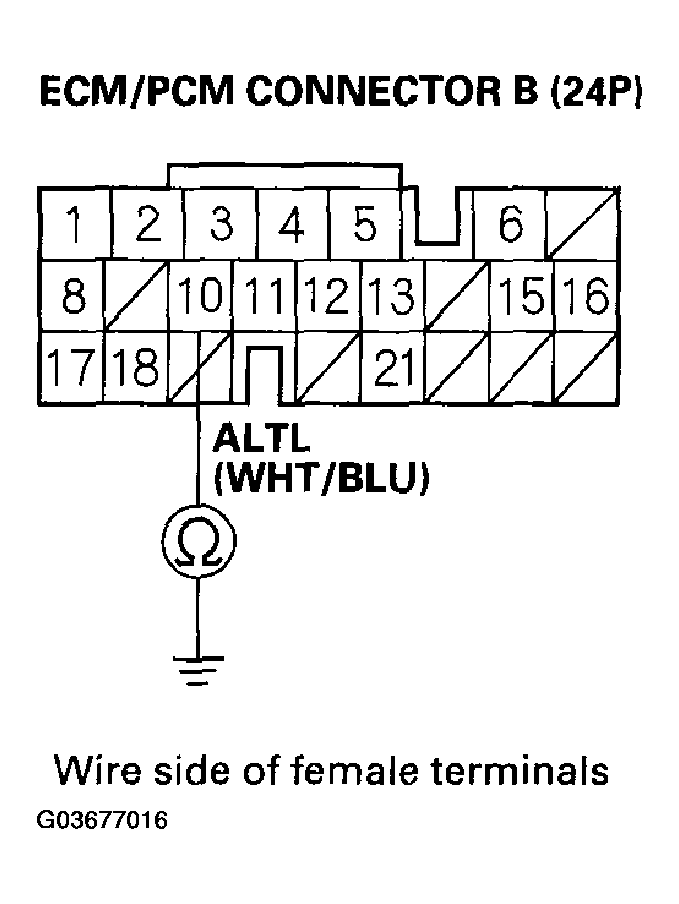 G03677016