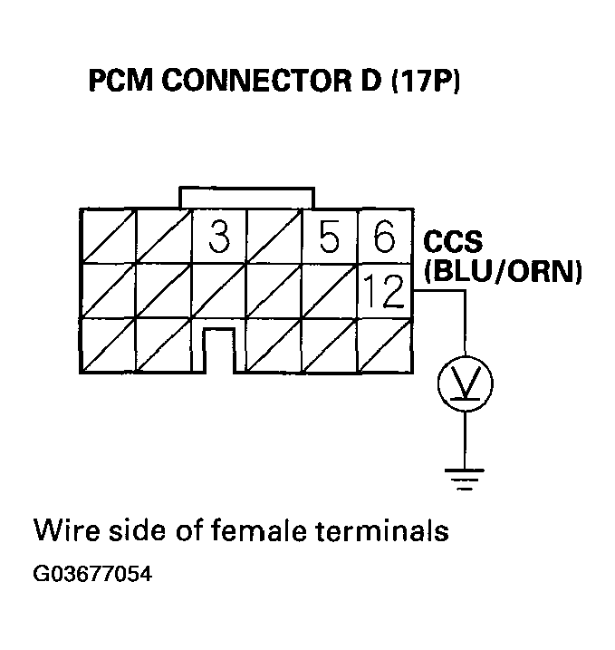 G03677054