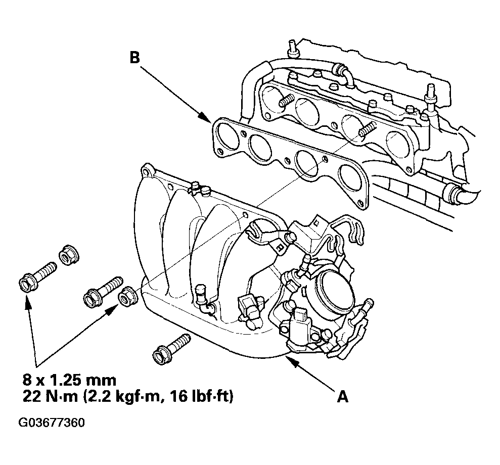 G03677360