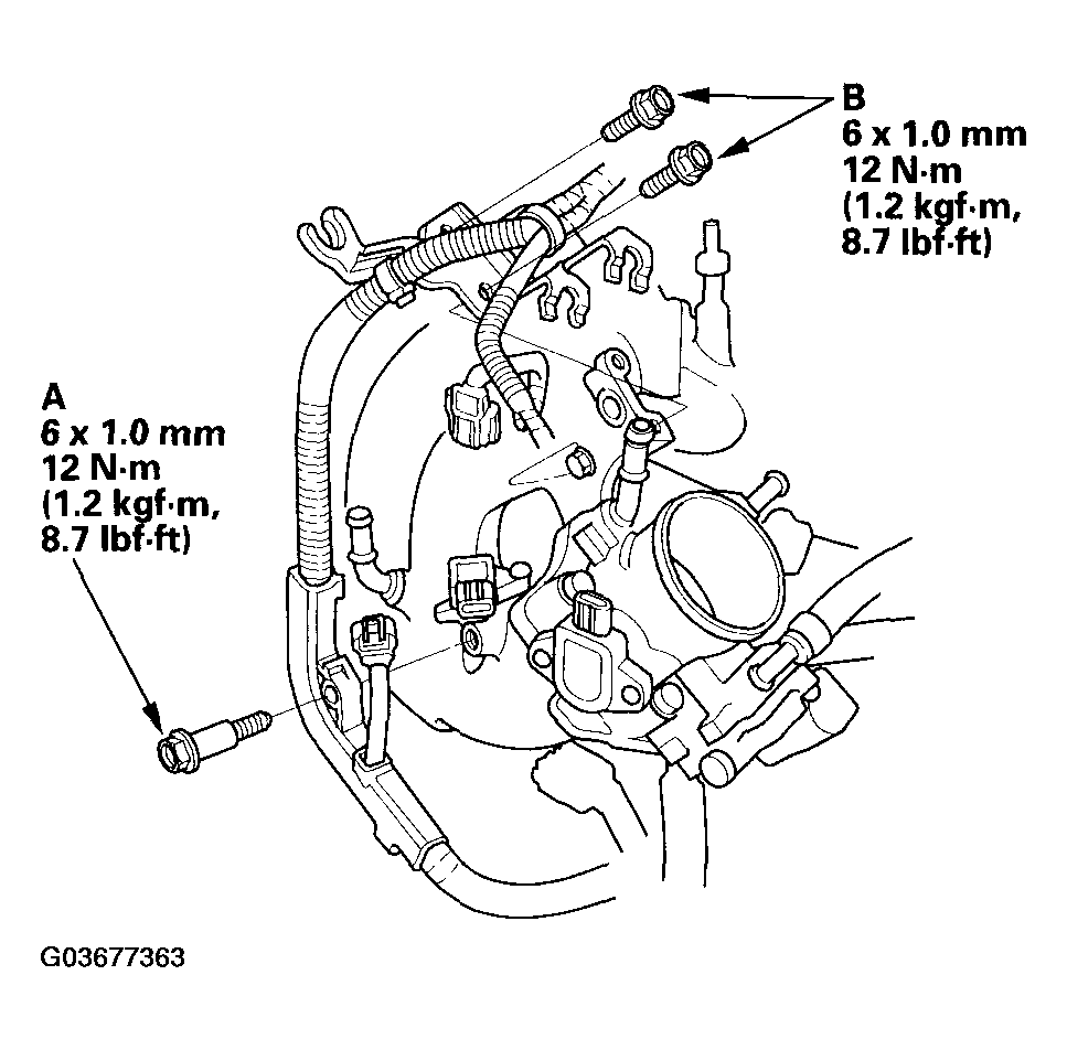 G03677363