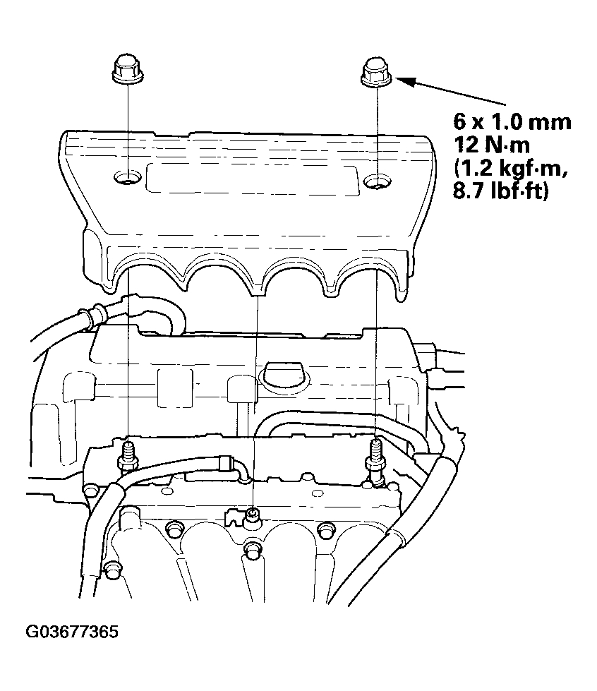 G03677365