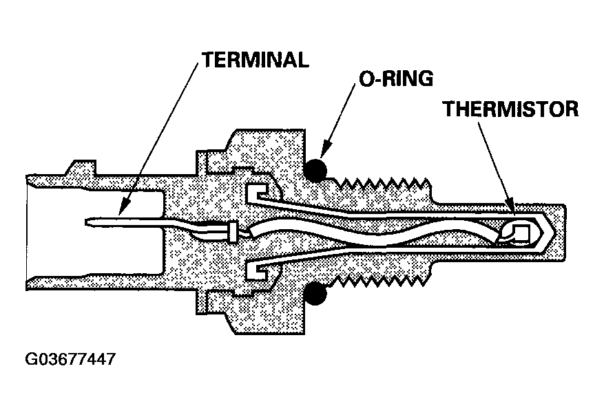 G03677447