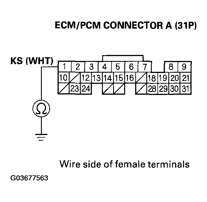 G03677563