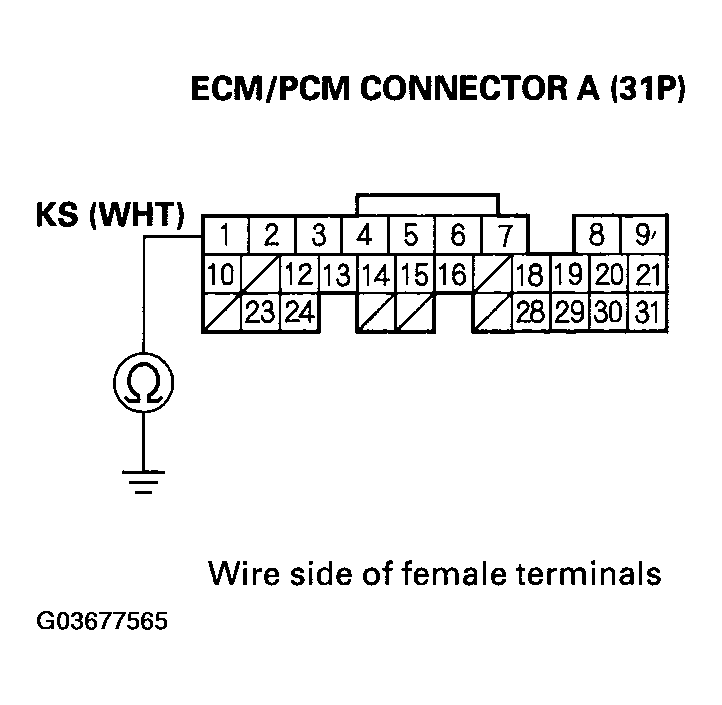 G03677565