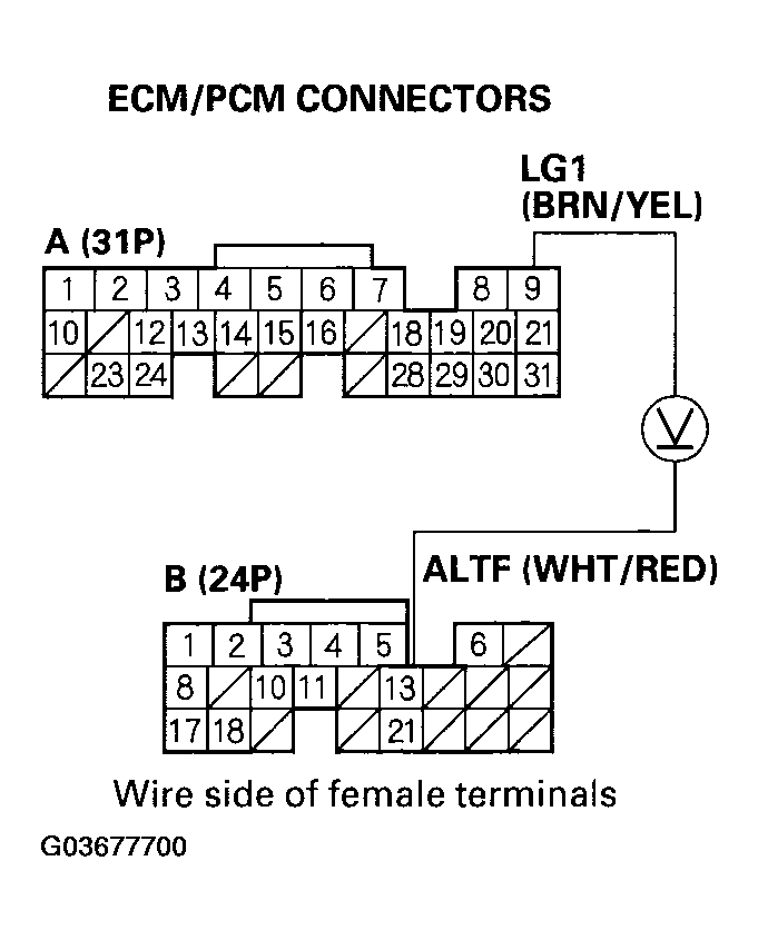 G03677700