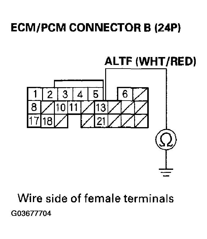 G03677704