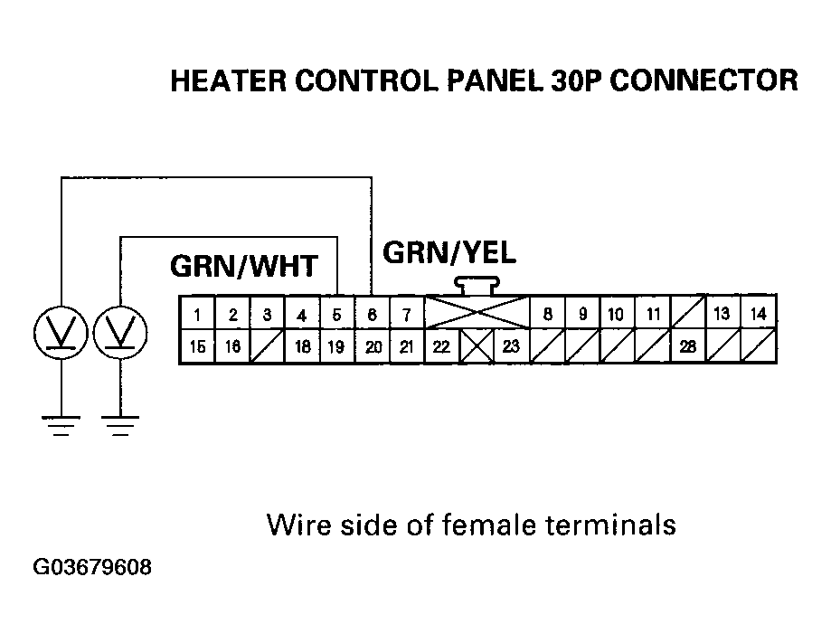 G03679608