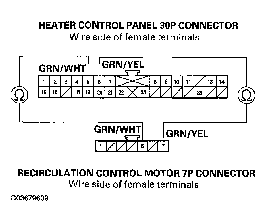 G03679609