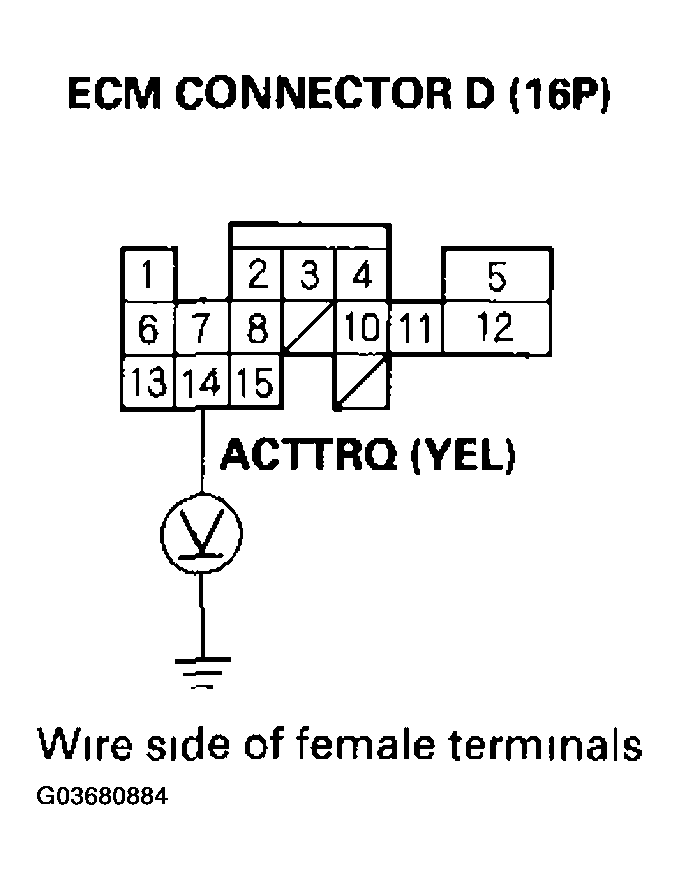 G03680884
