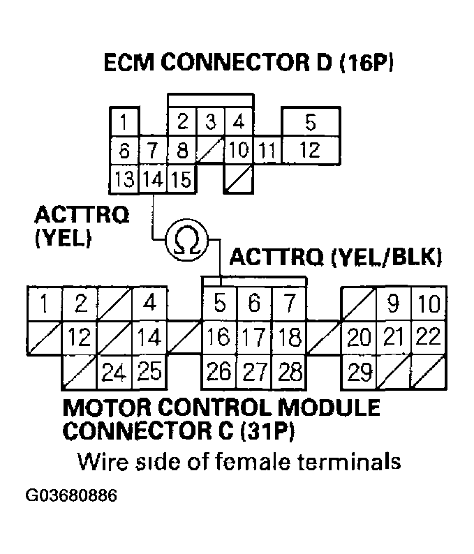 G03680886
