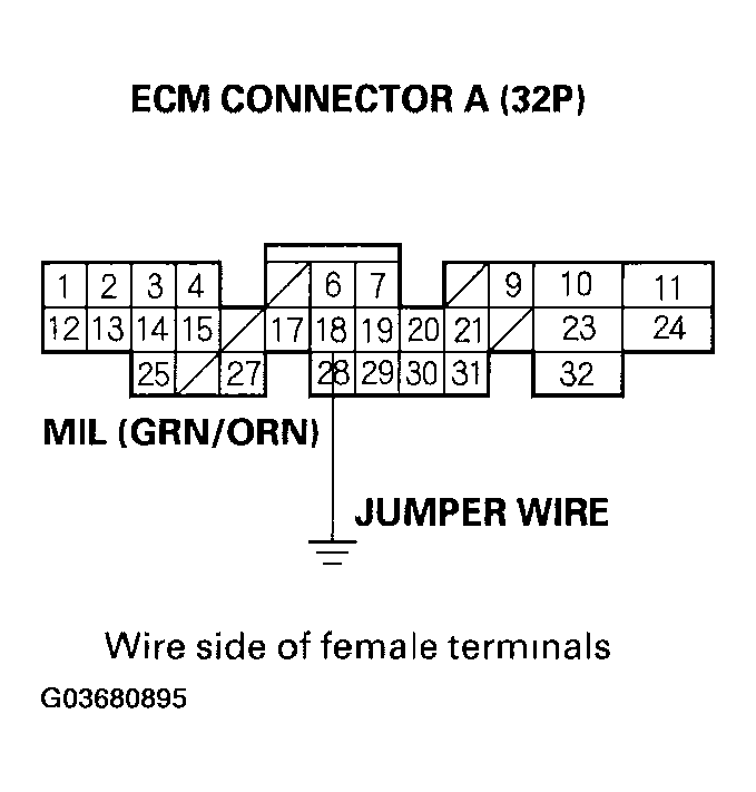 G03680895