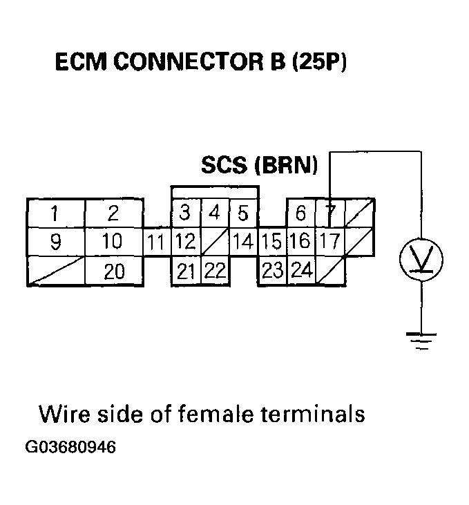 G03680946