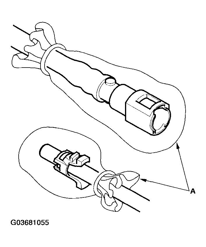 G03681055
