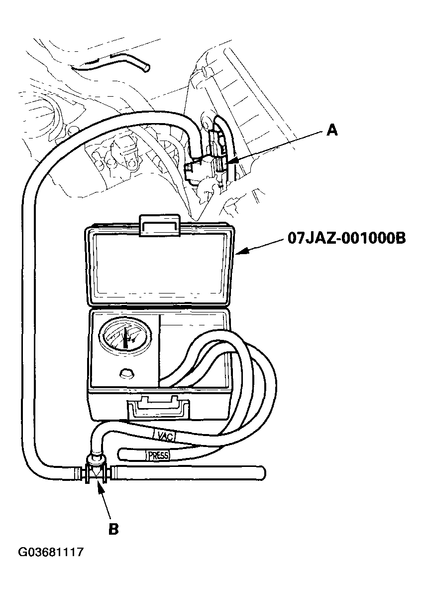 G03681117