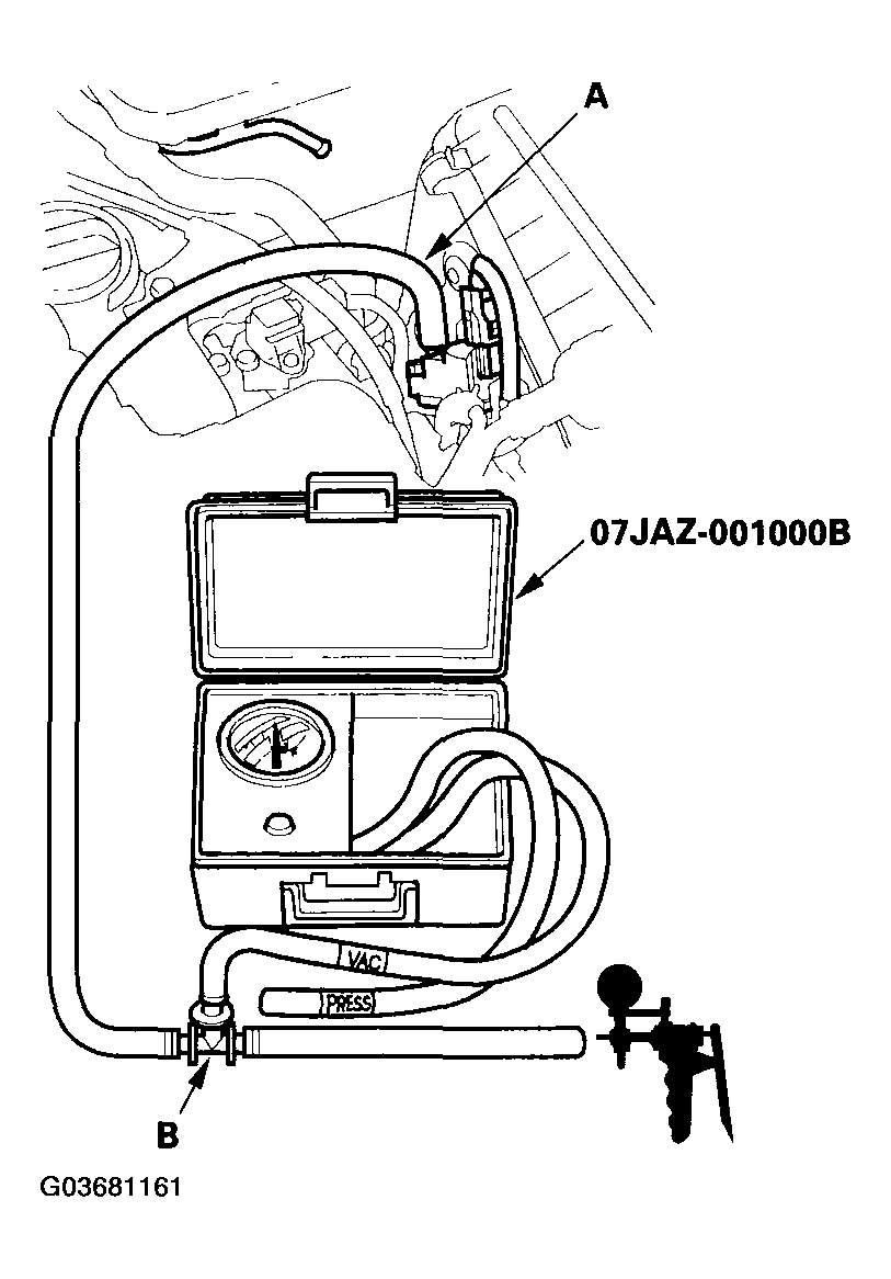 G03681161