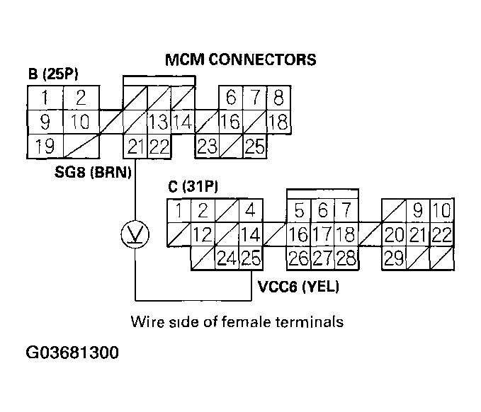 G03681300