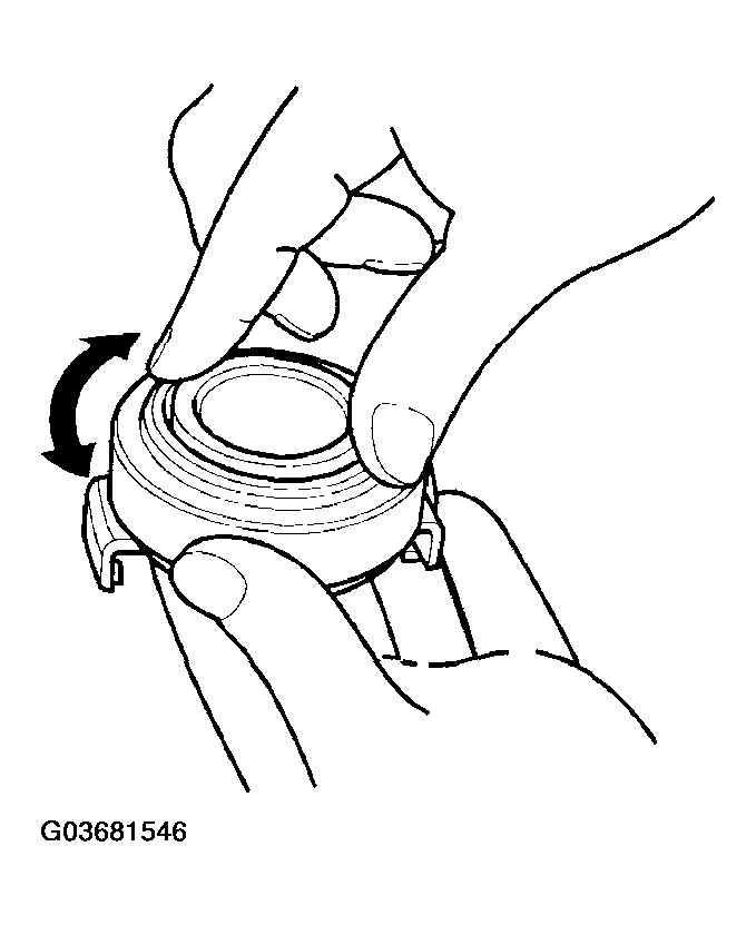 G03681546