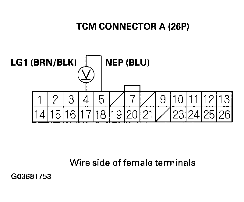 G03681753