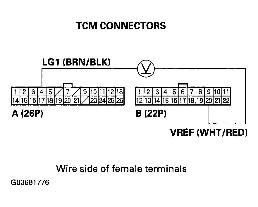 G03681776