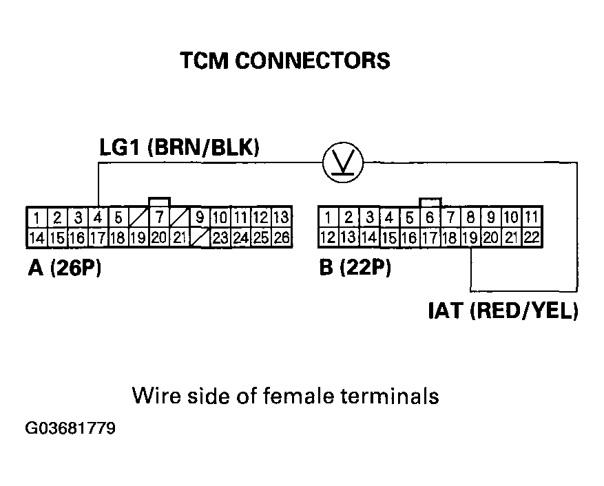 G03681779