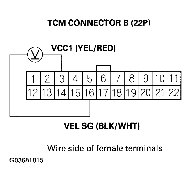 G03681815